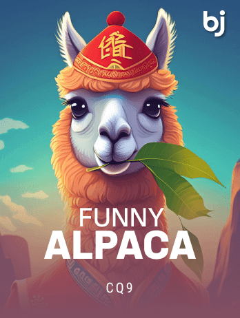 Funny Alpaca thumbnail